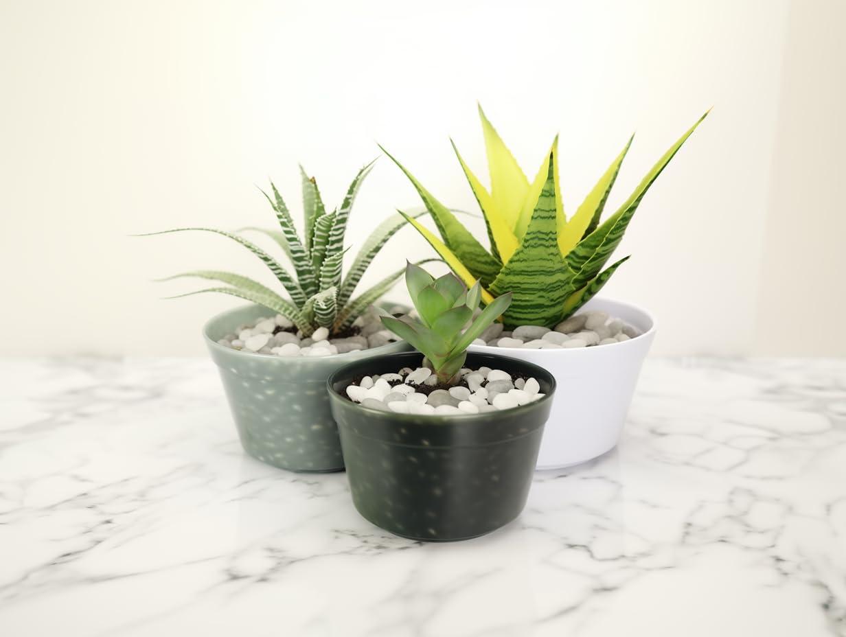 Medium White Polished River Rocks for Garden Landscaping