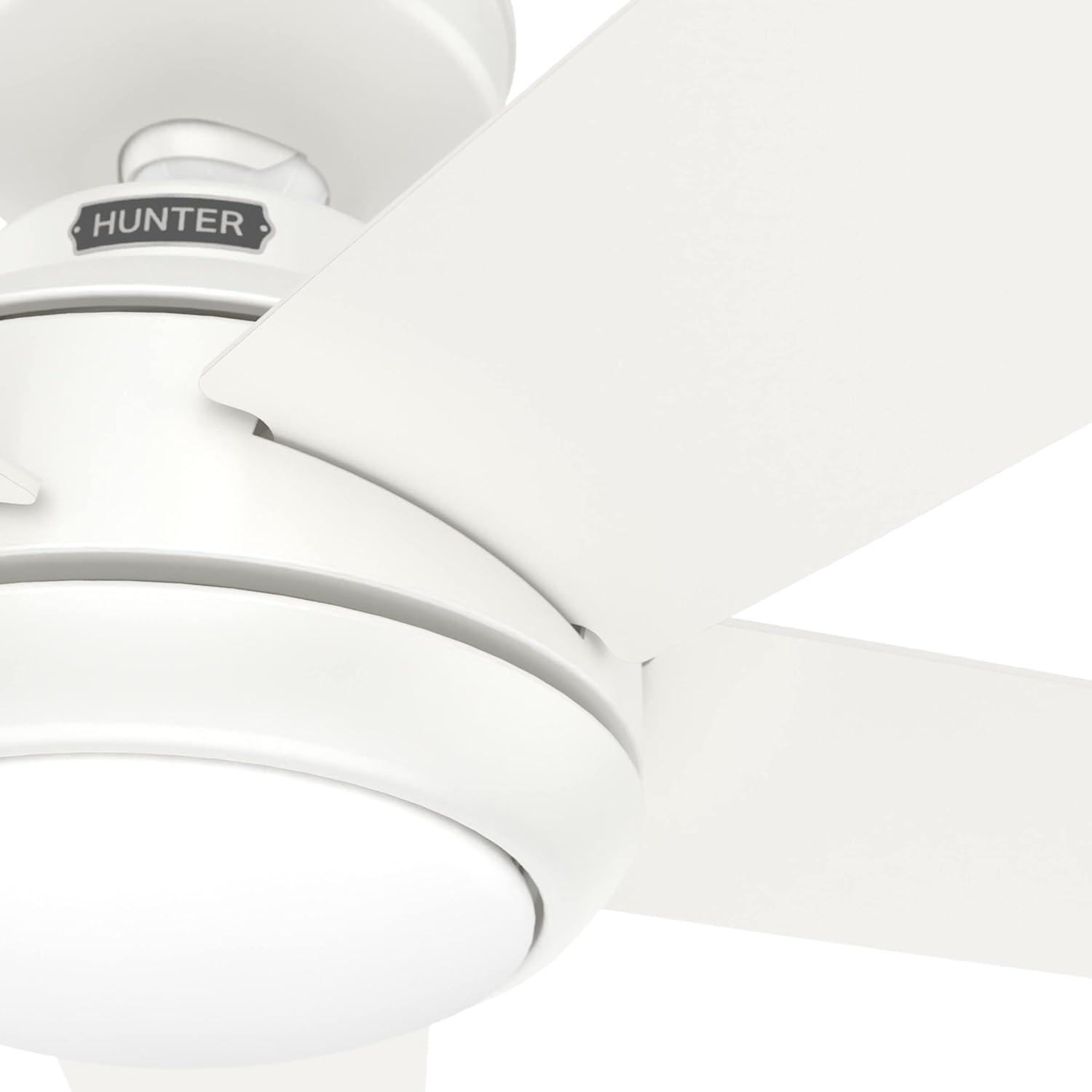 52" Zayden 5 - Blade Ceiling Fan With Lights and Remote