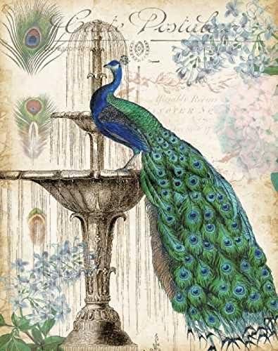Vintage Peacocks II 11 x 14 Poster Print