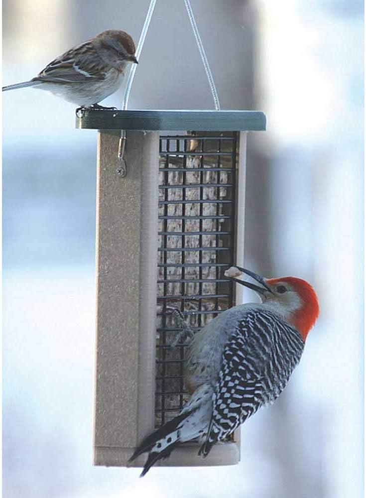 Birds Choice Hanging Suet Bird Feeder