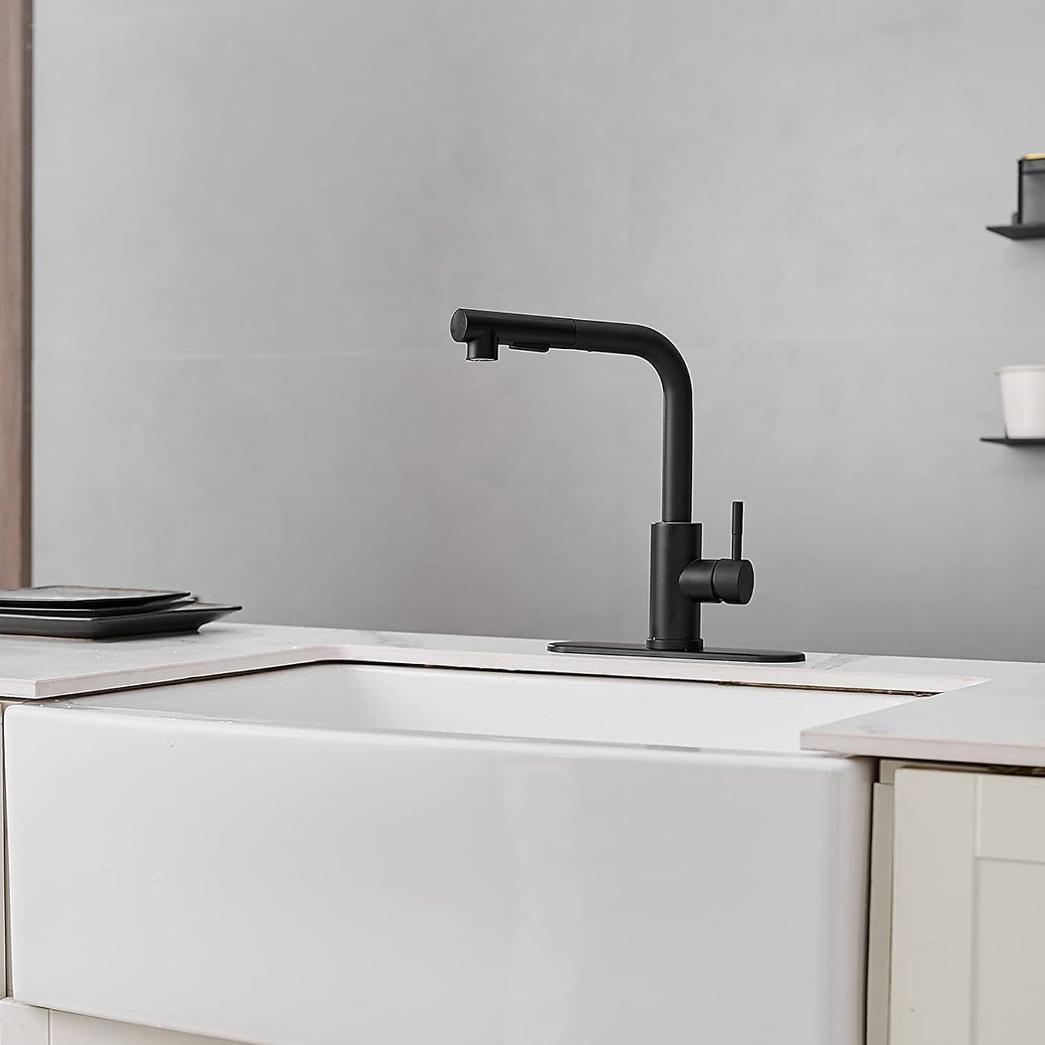 Matte Black Stainless Steel Pull-Out Spray Kitchen Faucet