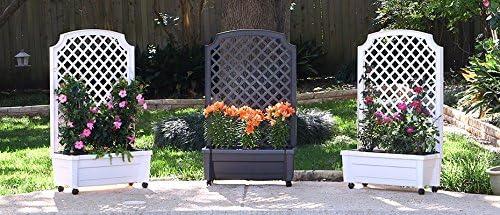 Exaco Calypso Planter with Trellis