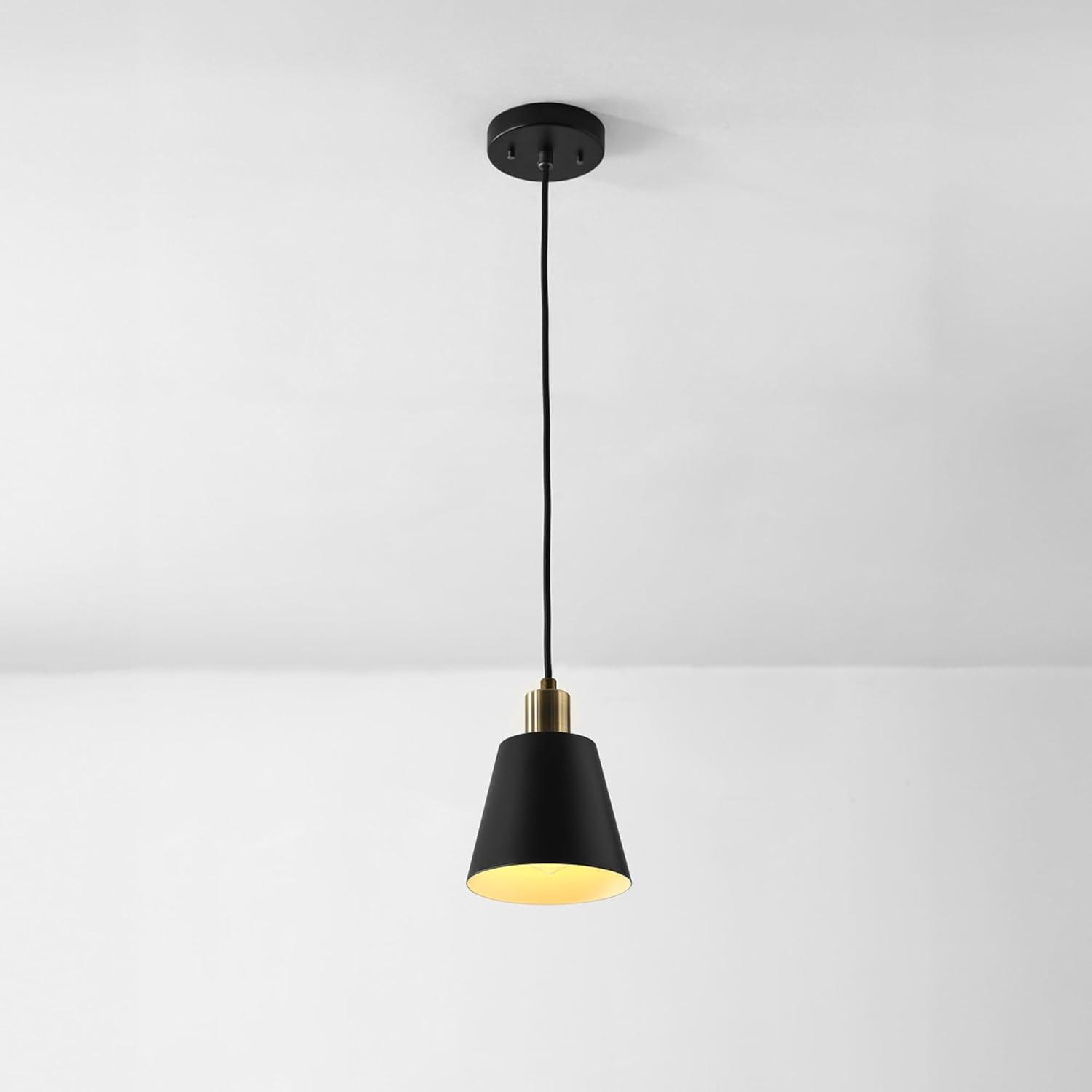 Matte Black Mini Pendant Light with Brass Accents