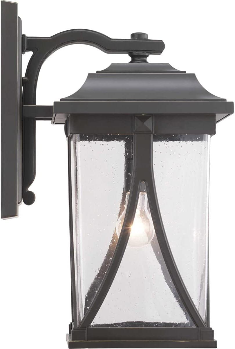 Progress Lighting Abbott 1-Light Outdoor Wall Lantern in Antique Bronze with Seeded Glass Shade