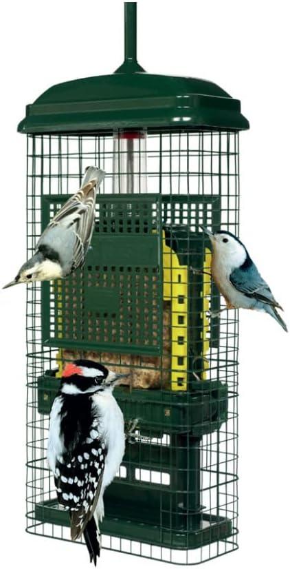 Brome Bird Care Squirrel Buster Truly Squirrel-Proof Suet Feeder (Green, 2-Pack)
