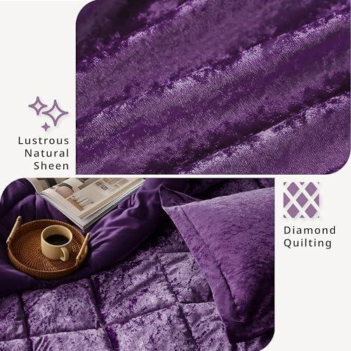 Intelligent Design Felicia Crushed Velvet Comforter Set with Throw Pillow