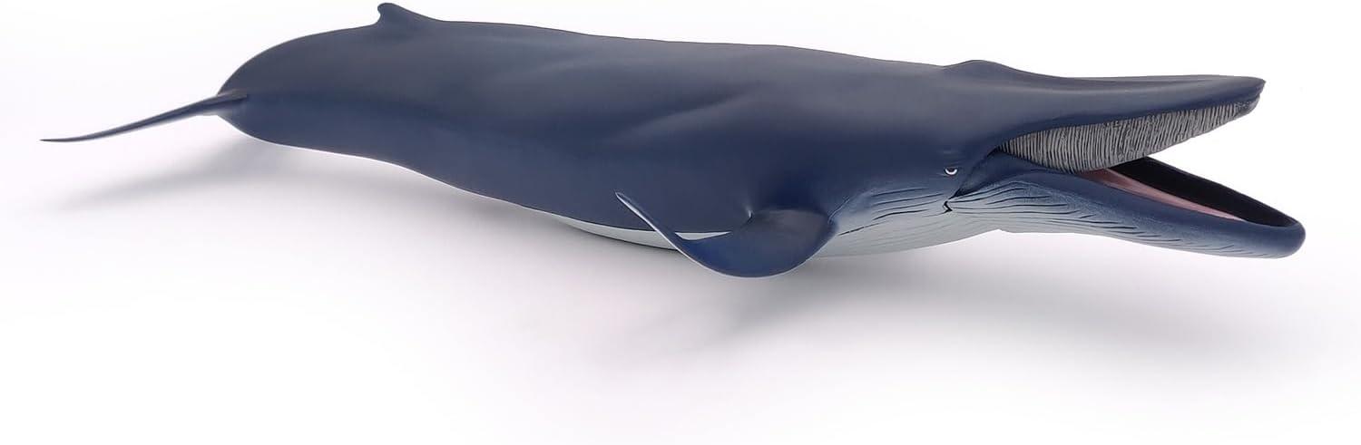 Papo - Blue Whale - Figurine Marine Animals - 3 Years Old - Cetaceans and Marine Mammals - Hand Painted - Durable Educational Toy - 38,5 x 17 x 7,5 cm - Children's Toy - Gift Idea - Blue Whale Toy