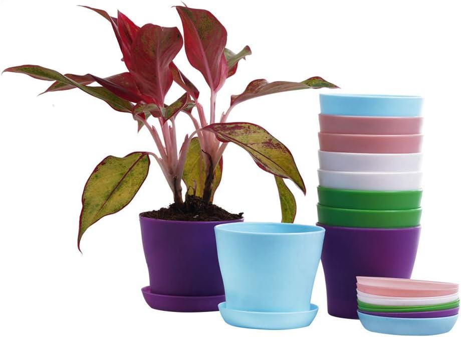 TDHDIKE 10 Pcs Plastic Planters Indoor Pots, Mini Flower Seedlings Nursery Flower Pot with Pallet, Modern Decorative Gardening Containers Pink / White / Purple / Blue / Green