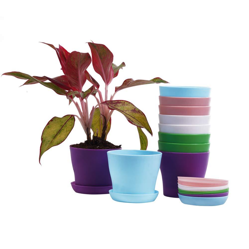 TDHDIKE 10 Pcs Plastic Planters Indoor Pots, Mini Flower Seedlings Nursery Flower Pot with Pallet, Modern Decorative Gardening Containers Pink / White / Purple / Blue / Green