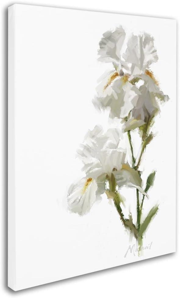 Trademark Fine Art The Macneil Studio " White Iris " by The Macneil Studio