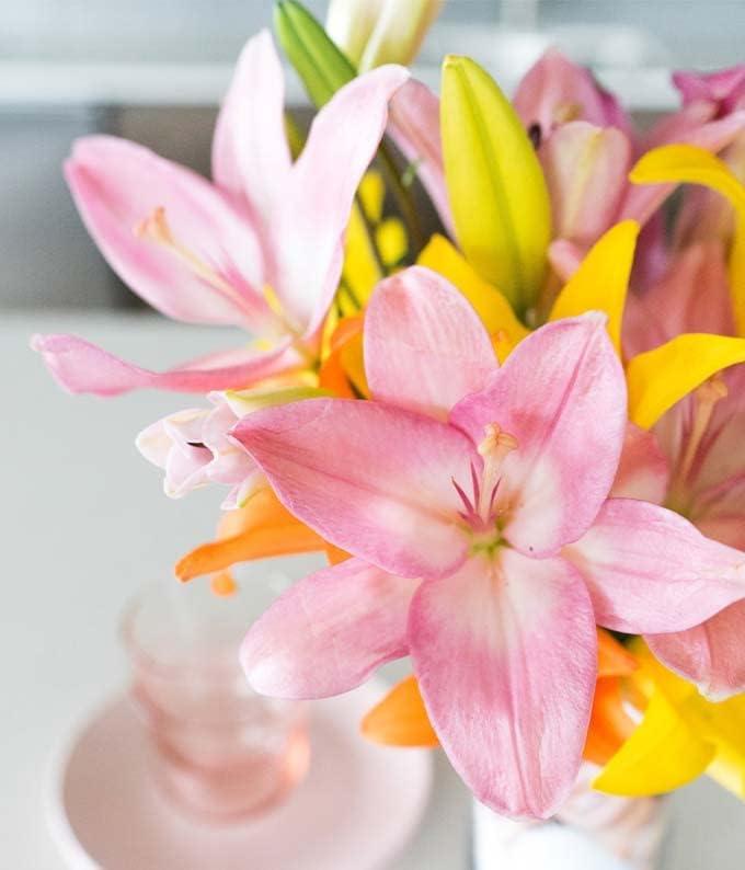 From You Flowers - Stunning Lily Bouquet for Birthday, Anniversary, Get Well, Congratulations, Thank You, All Occasions