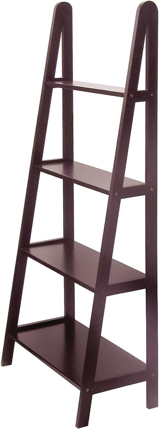 Maryana Ladder Bookcase