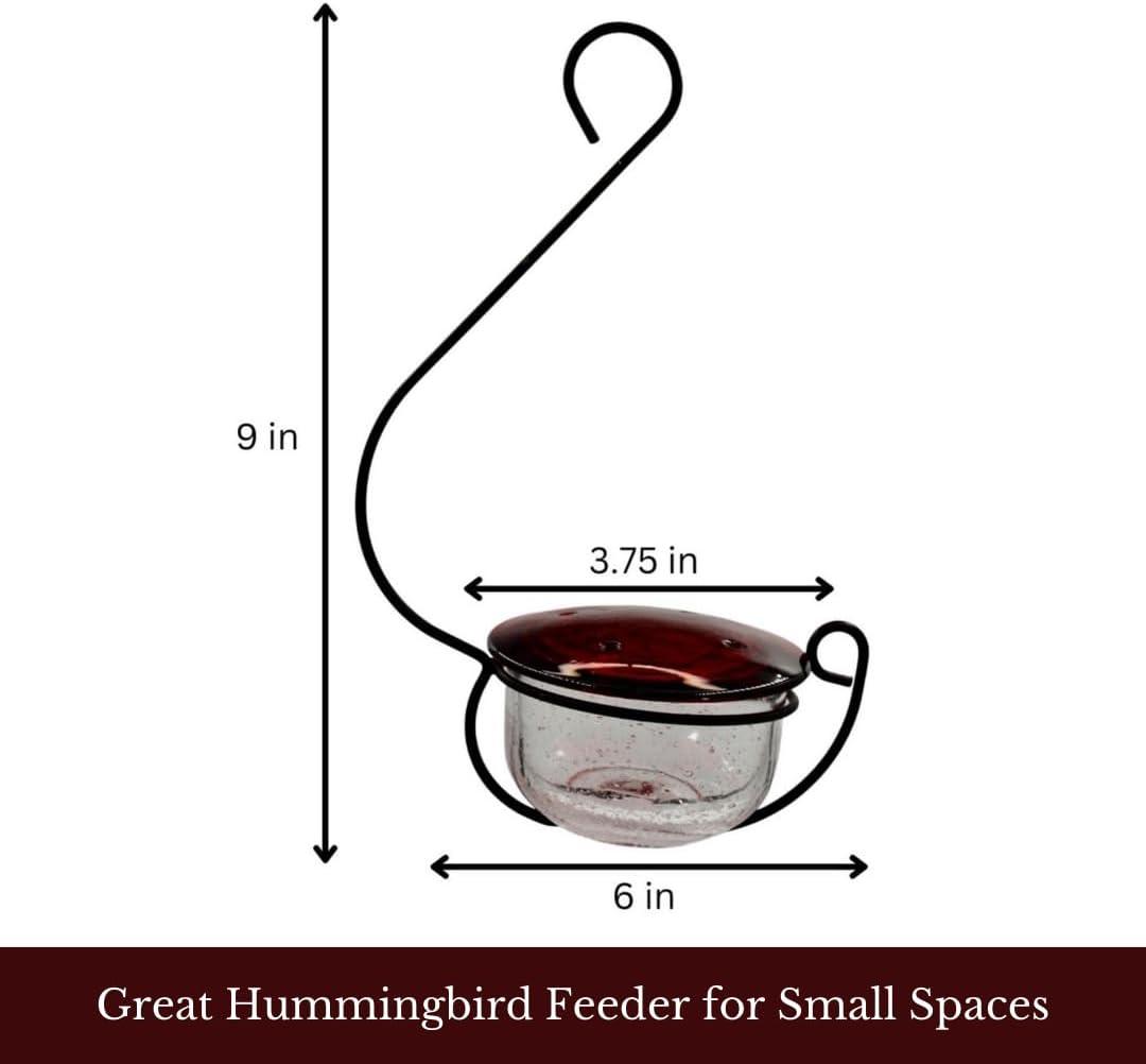 Backyard Essentials Clear Bubble Glass Hanging Hummingbird Feeder - 6 oz