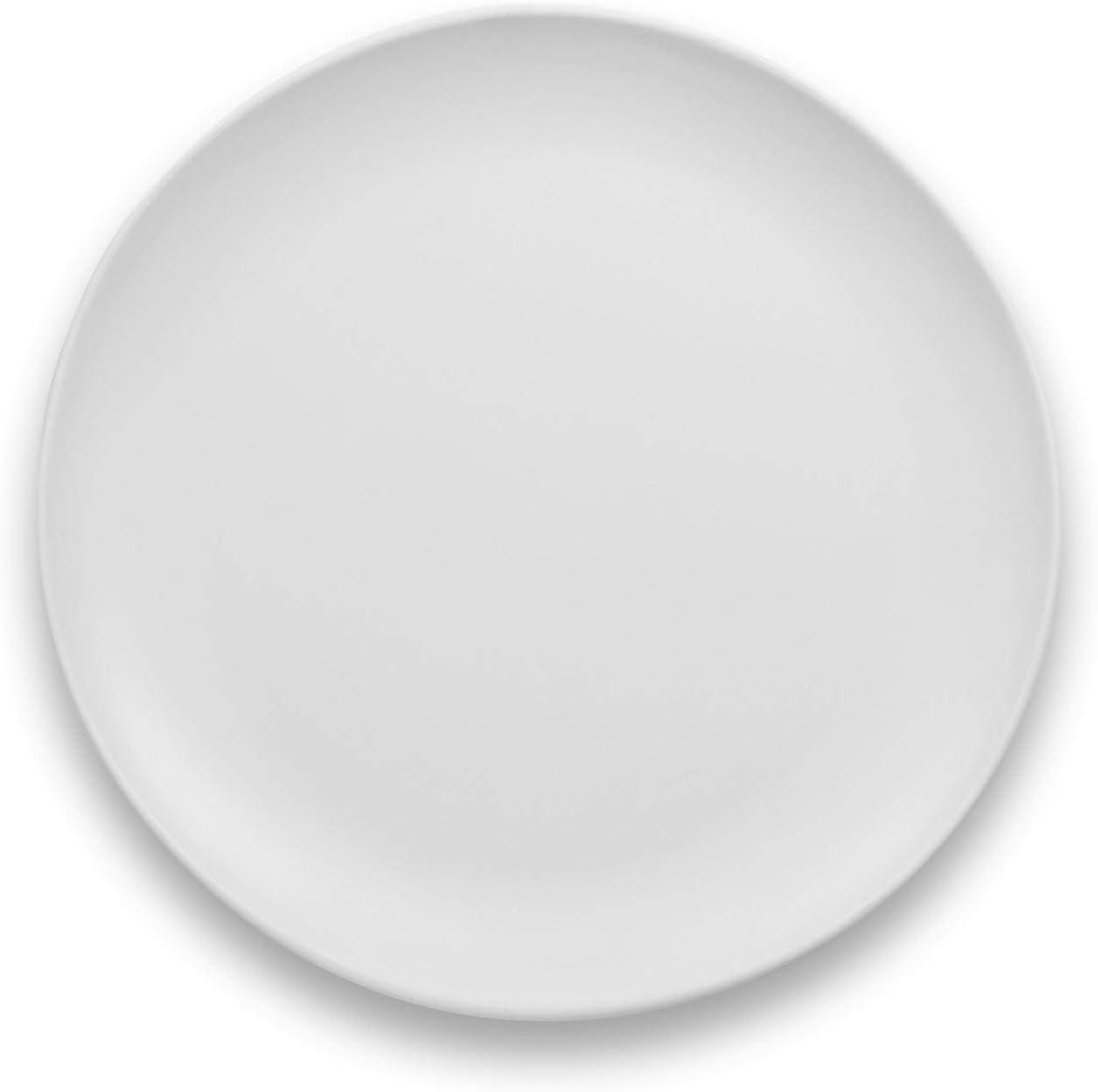 Matte White Melamine 10.5" Dinner Plates, Set of 6