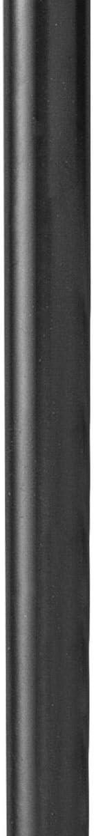 Progress Lighting Extension Rod P8602-31M