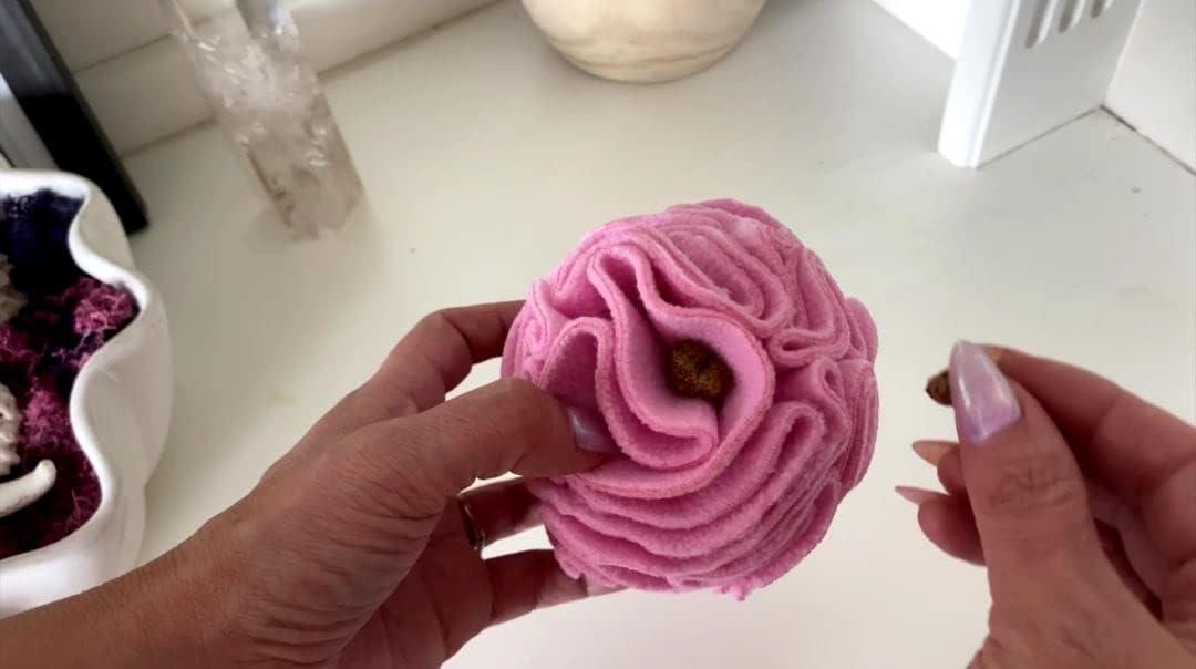 Snuffle Interactive Foraging Dog Puzzle Ball Toy for Puppy and Adult