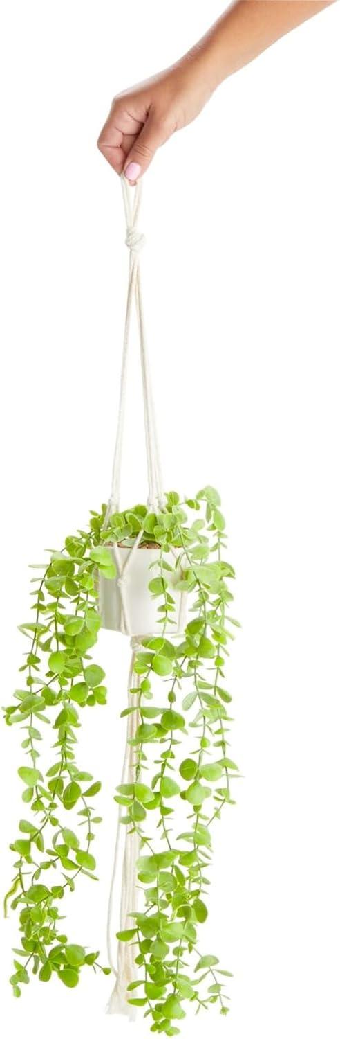 Verdant Bliss 31" Silk Eucalyptus in White Ceramic Pot with Macrame Hanger