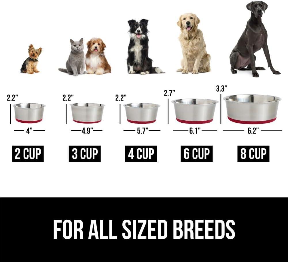 Red 2-Cup Stainless Steel Dog Bowls with Rubber Base, Set of 2