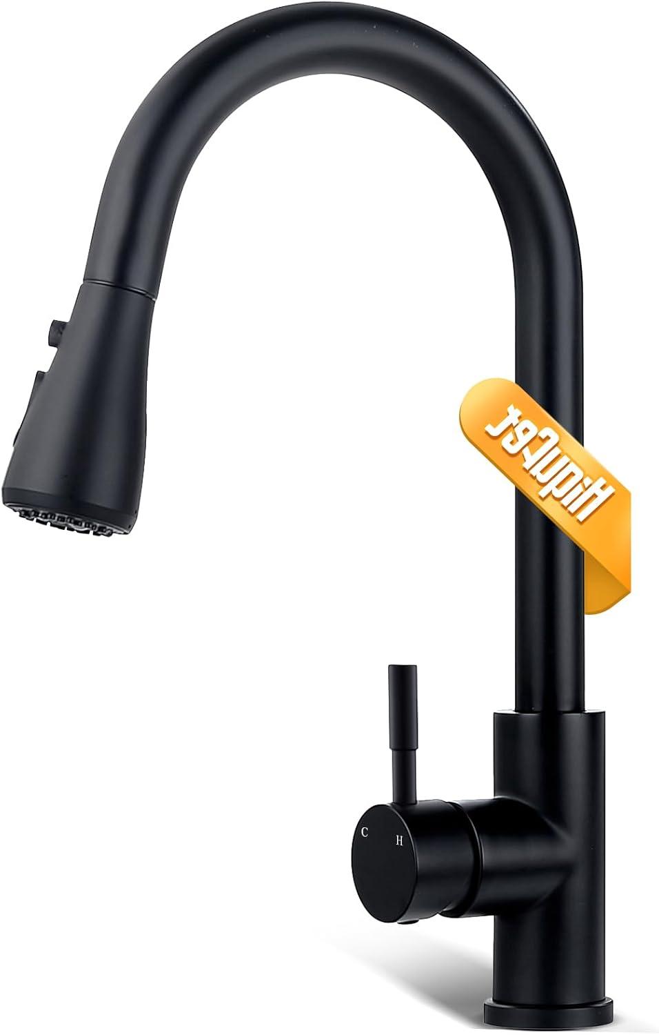 Matte Black Stainless Steel Kitchen Faucet with Pull-Out Spray