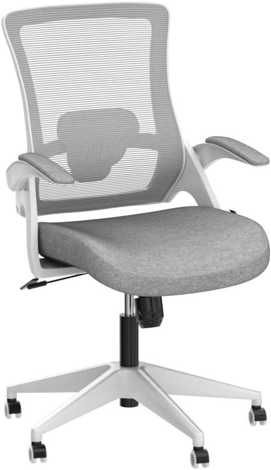 Neo Chair Ergonomic High Back Office Chair with Flip-up Arms Adjustable Lumbar Support, Gray