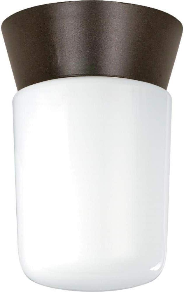 Nuvo Lighting 77/156 1 Light 4-1/4" Wide Outdoor Semi-Flush Ceiling Fixture - Bronzotic