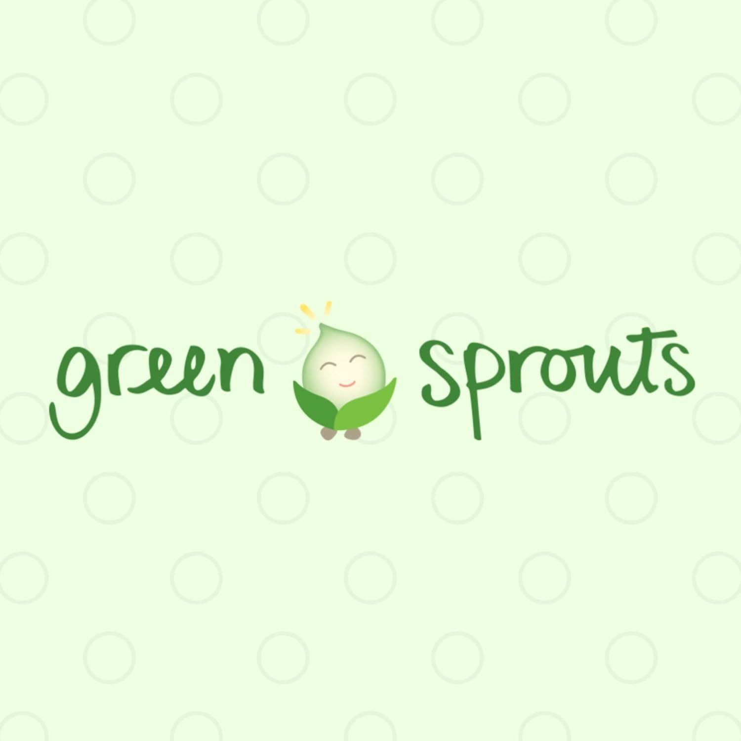 green sprouts Reusable Insulated Sandwich Bags (2 Pack) | Holds Food, Utensils, Wipes & More | Keeps Food Fresh | Food-Safe, Waterproof, Easy-Clean Material