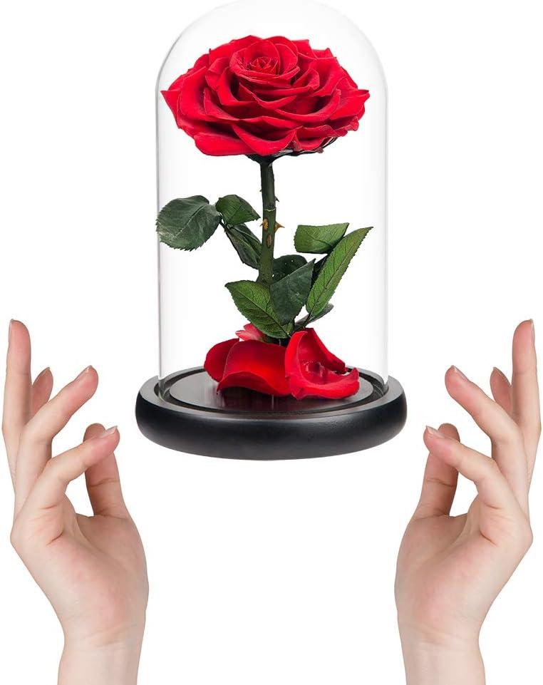 Preserved Roses Real Preserved Rose in Glass Dome with Wooden Base, Rose Preserved Never Withered Romantic Gifts for Her, Valentine's Day, Mother's Day, Birthday