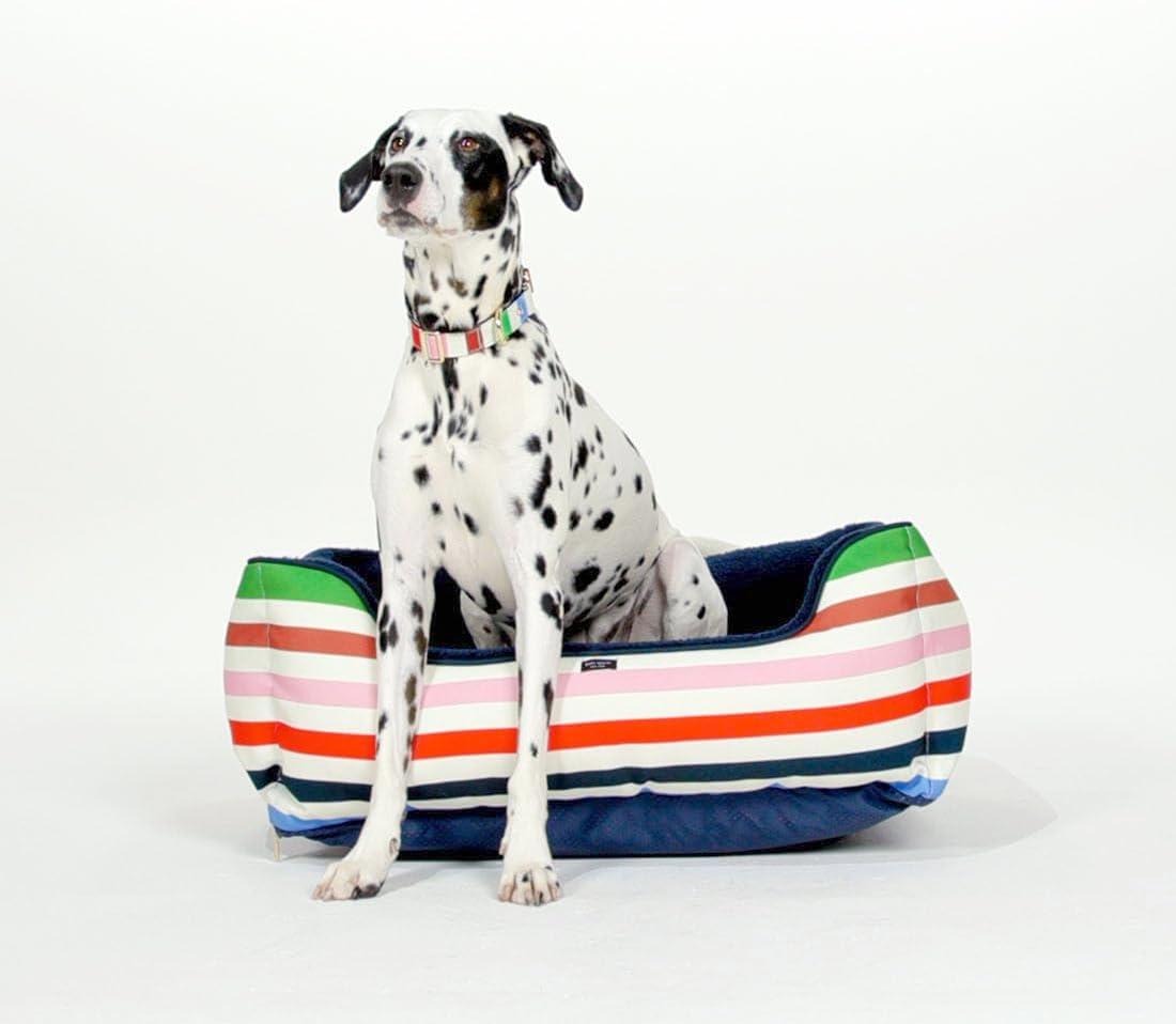 Adventure Stripe Multicolor Polyester Bolster Dog Bed
