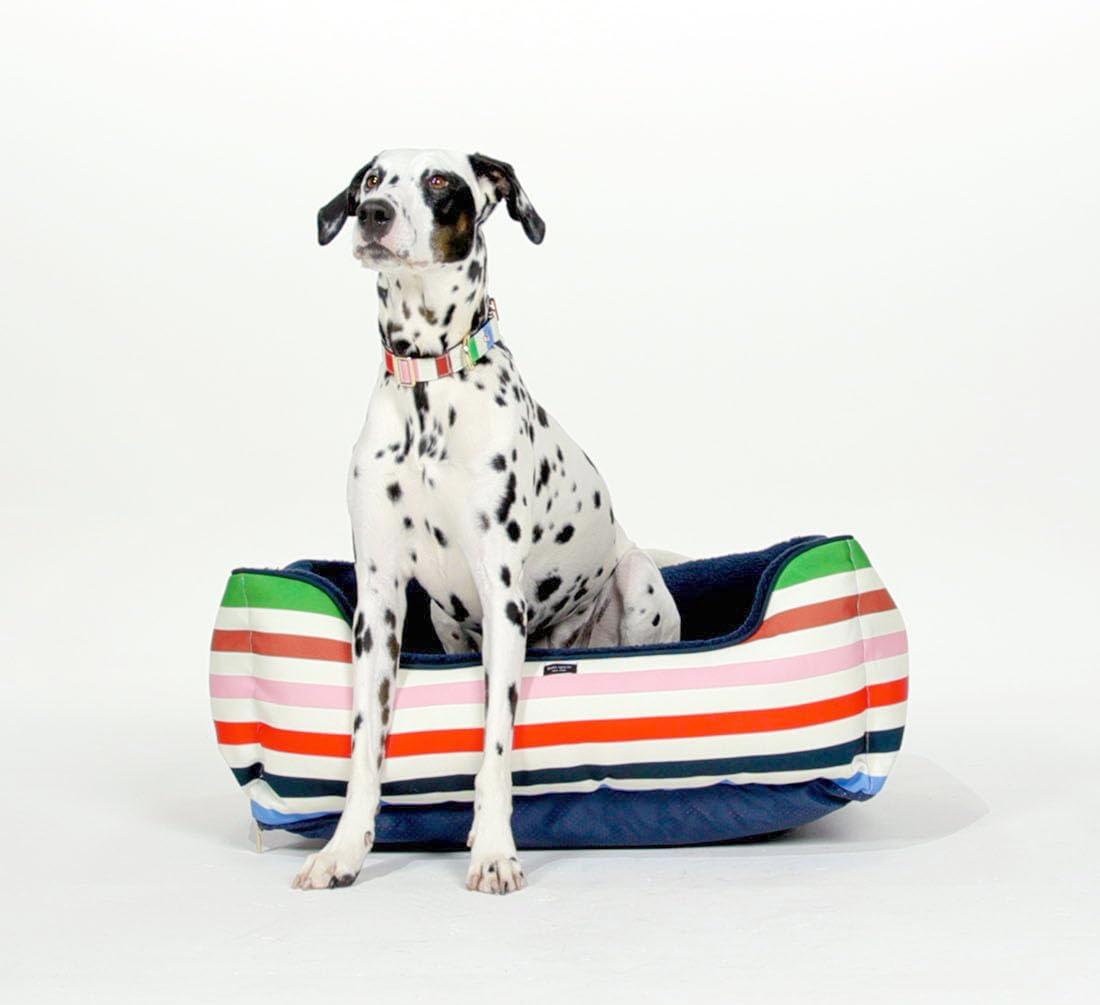 Adventure Stripe Multicolor Polyester Bolster Dog Bed