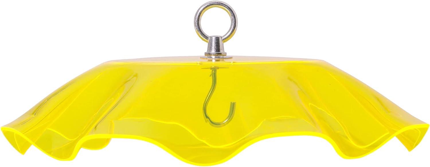 Birds Choice Birds Choice 13" Color Pop Collection Acrylic Bird Feeder Scalloped Weather guard