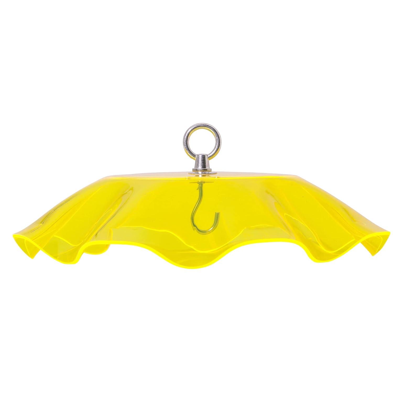 Birds Choice Birds Choice 13" Color Pop Collection Acrylic Bird Feeder Scalloped Weather guard