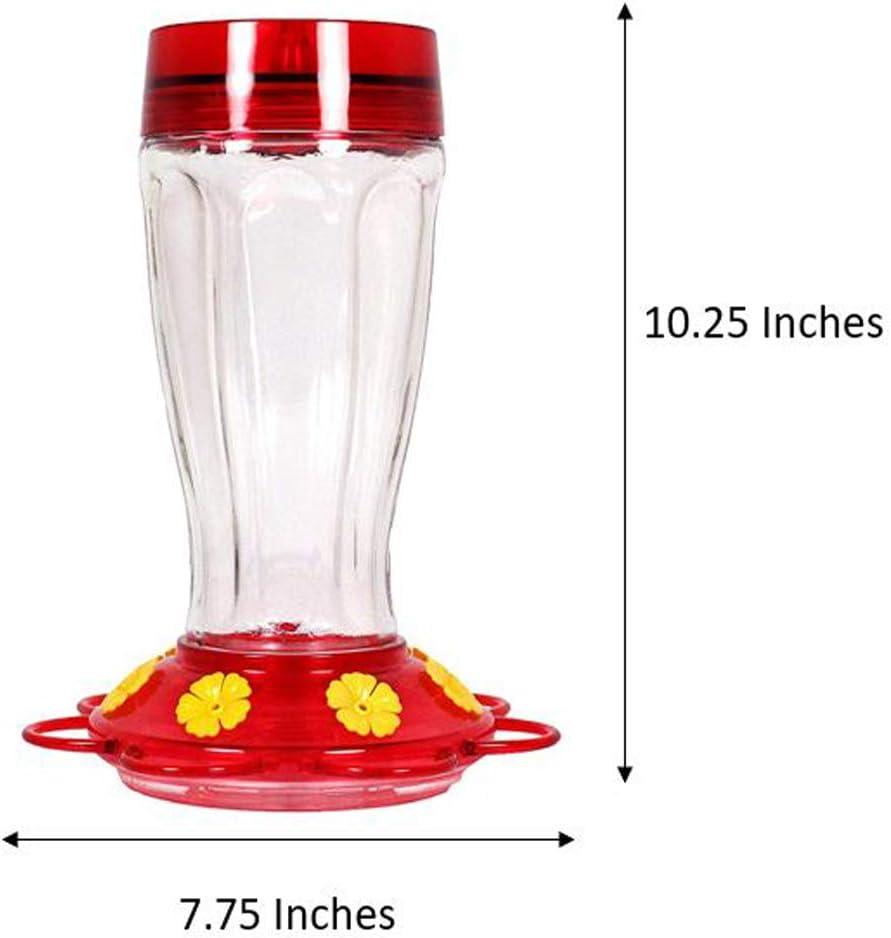 More Birds Big Gulp Glass Hummingbird Feeder - 40 oz