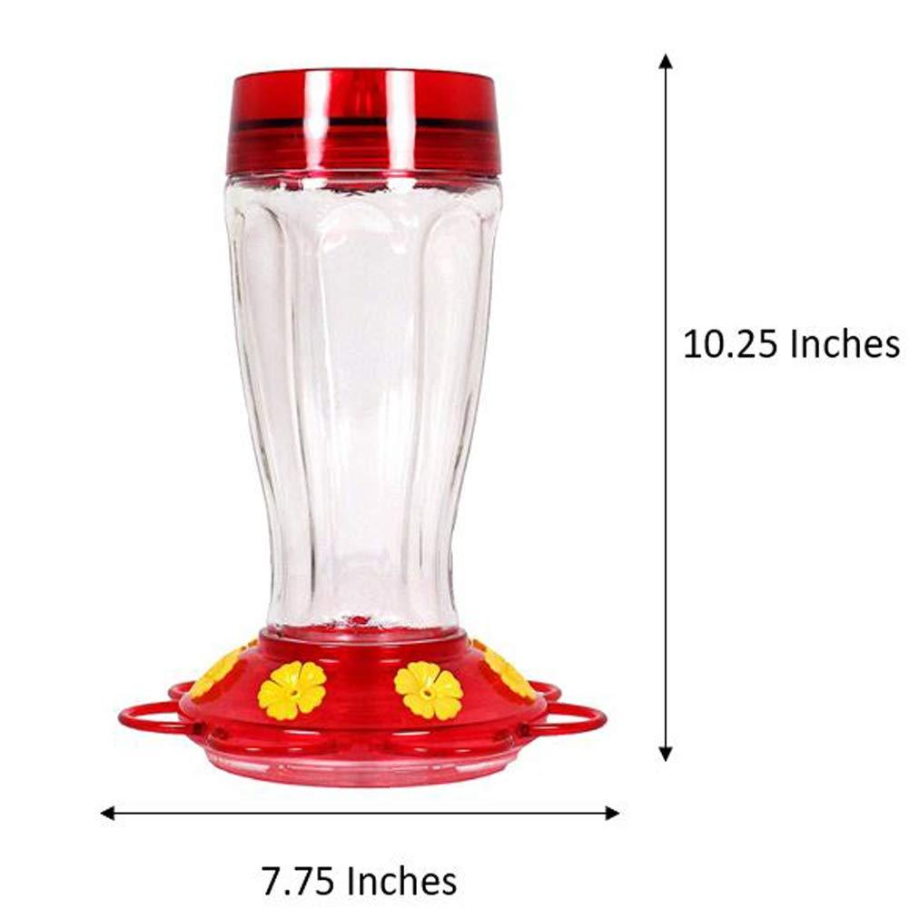 More Birds Big Gulp Glass Hummingbird Feeder - 40 oz