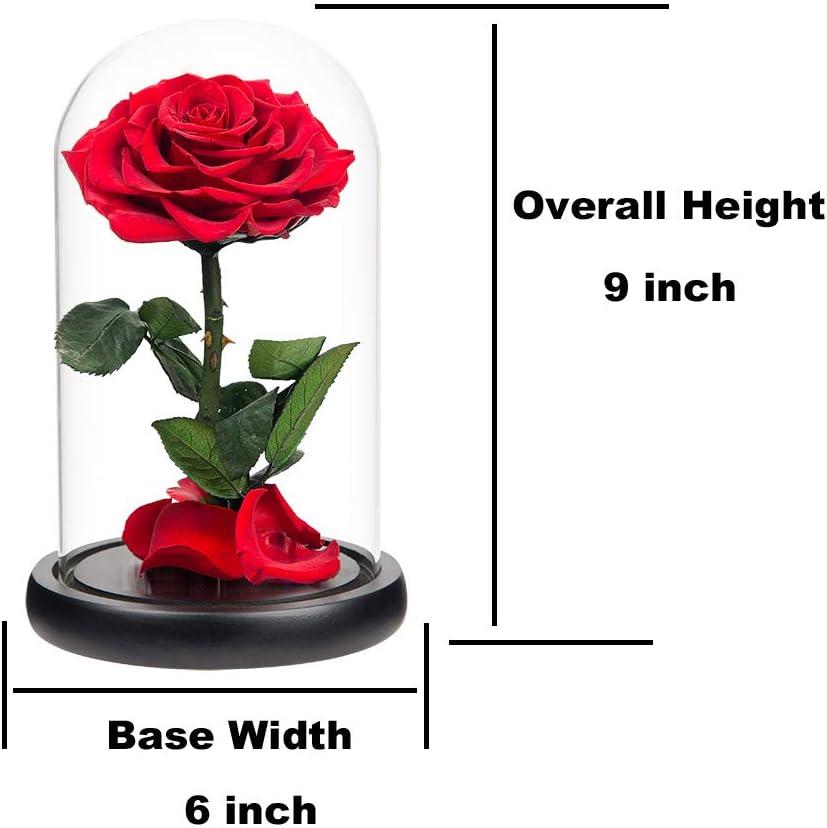 Preserved Roses Real Preserved Rose in Glass Dome with Wooden Base, Rose Preserved Never Withered Romantic Gifts for Her, Valentine's Day, Mother's Day, Birthday