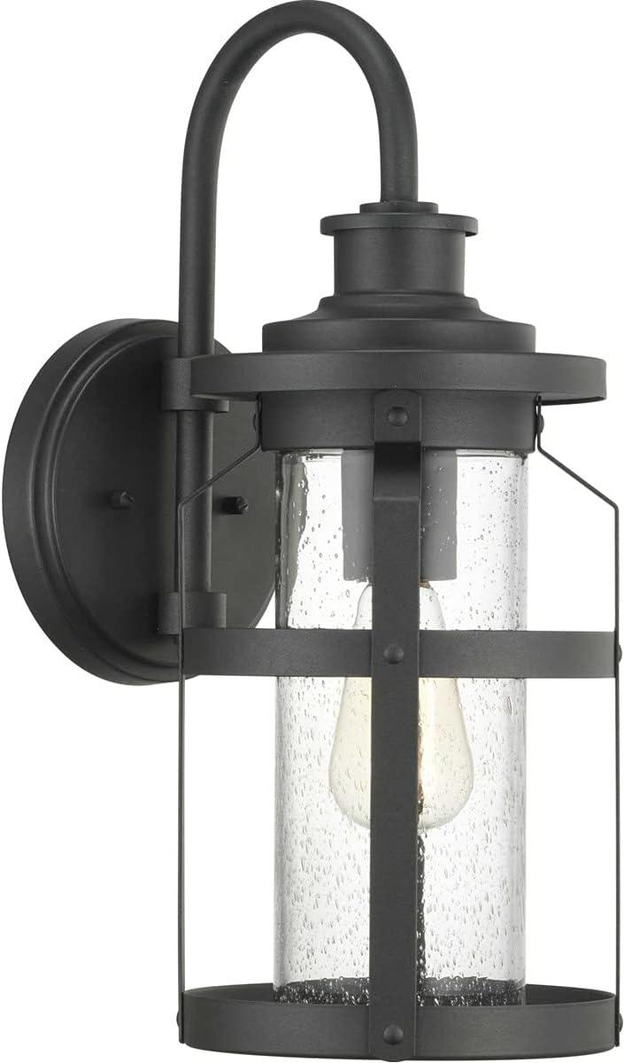 Progress Lighting Haslett 1-Light Medium Wall Lantern in Black with Seeded Glass Shade