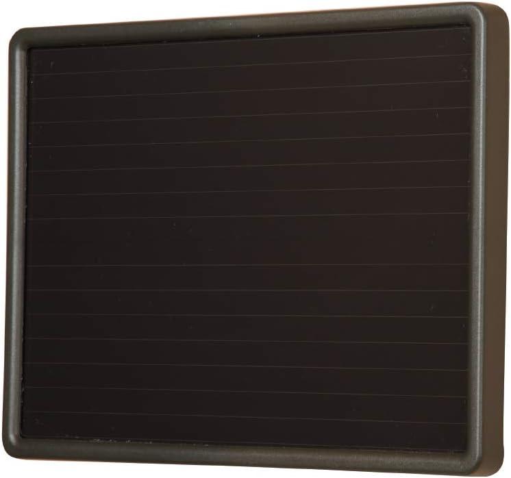 Bronze Solar Motion Activated Twin Head LED Flood Light