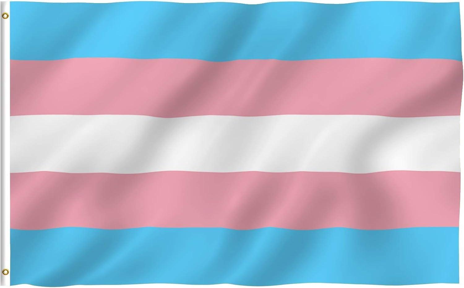 3x5 Foot Transgender Pride Flag with Brass Grommets