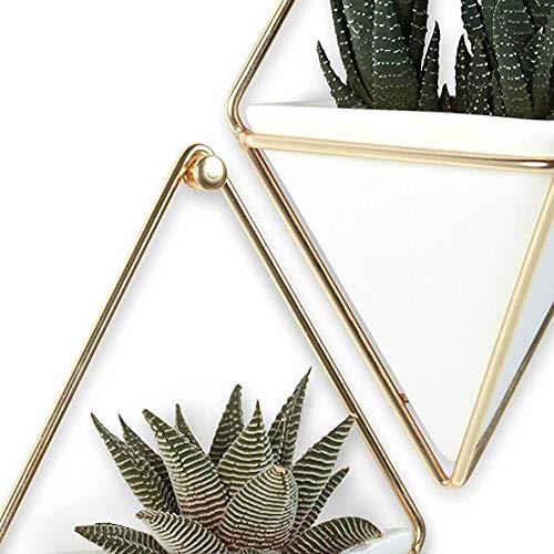 Trigg Wall Décor
