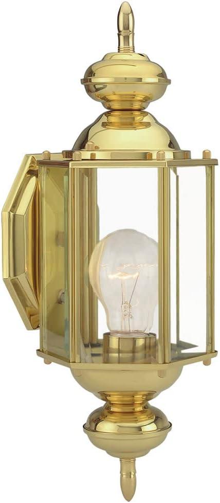 Augusta Brass Dimmable Outdoor Wall Sconce with Clear Glass