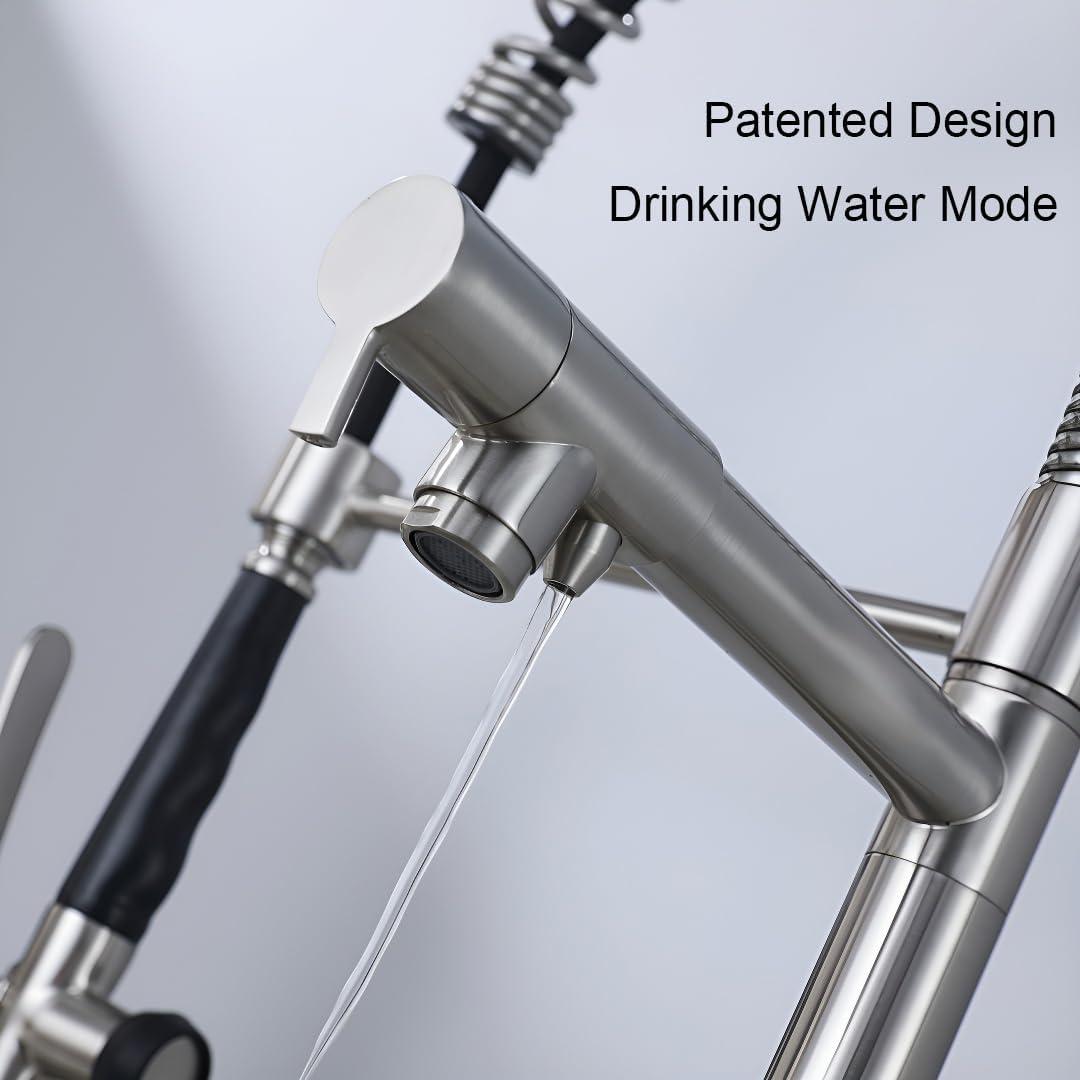 LOONGFIELD ASTARQ-W1932P172291 Kitchen Faucet Pull Down Sprayer Brushed Nickel,Single Handle Kitchen Sink Faucet