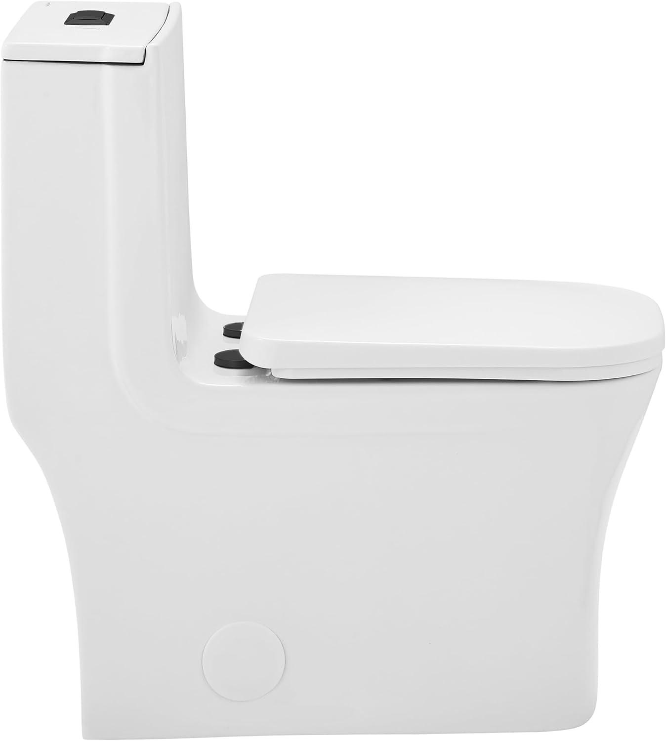 Concorde One Piece Square Toilet Dual Flush, Black Hardware 1.1/1.6 gpf