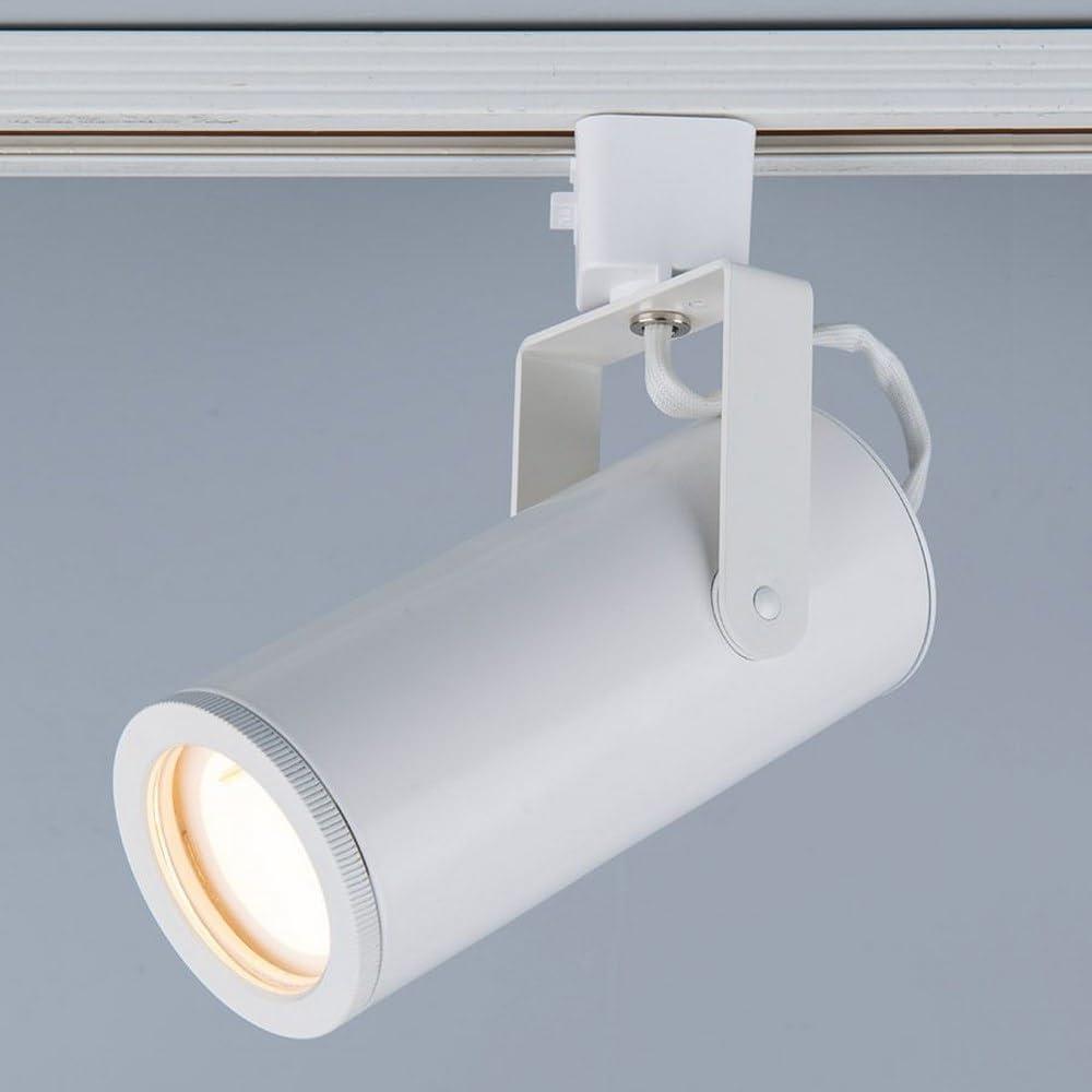 Silo LED Adjustable Track Head