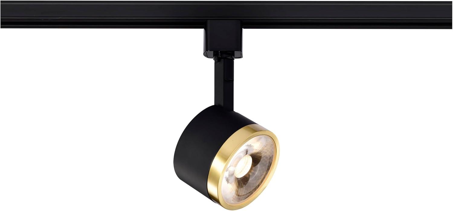 LED Adjustable Standard Head