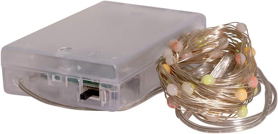 Kurt S. Adler 50-Light Battery-Operated Multi-Color Superbright LED Light Set