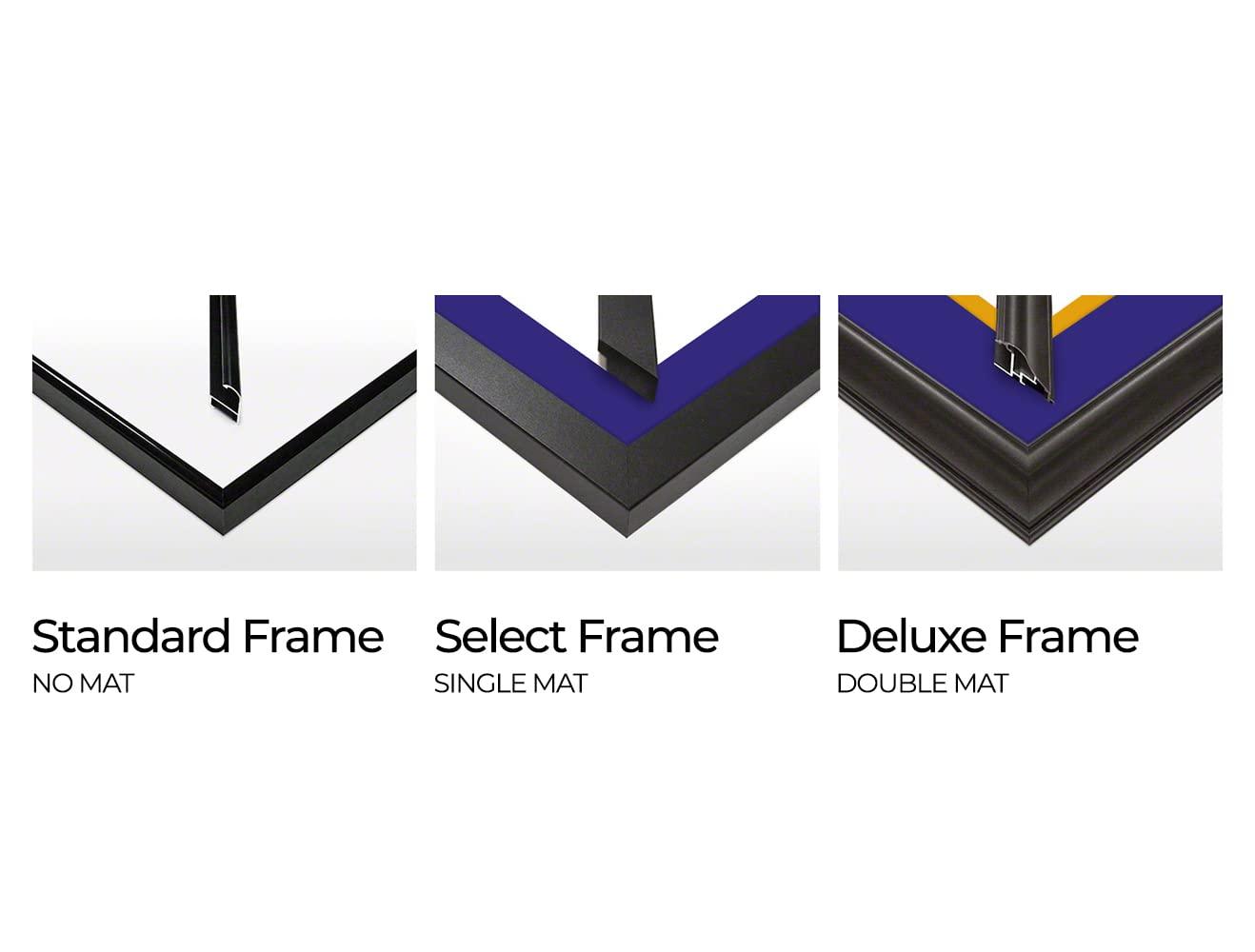 Blakeway Worldwide Panoramas, Inc " Baltimore Ravens " by James Blakeway