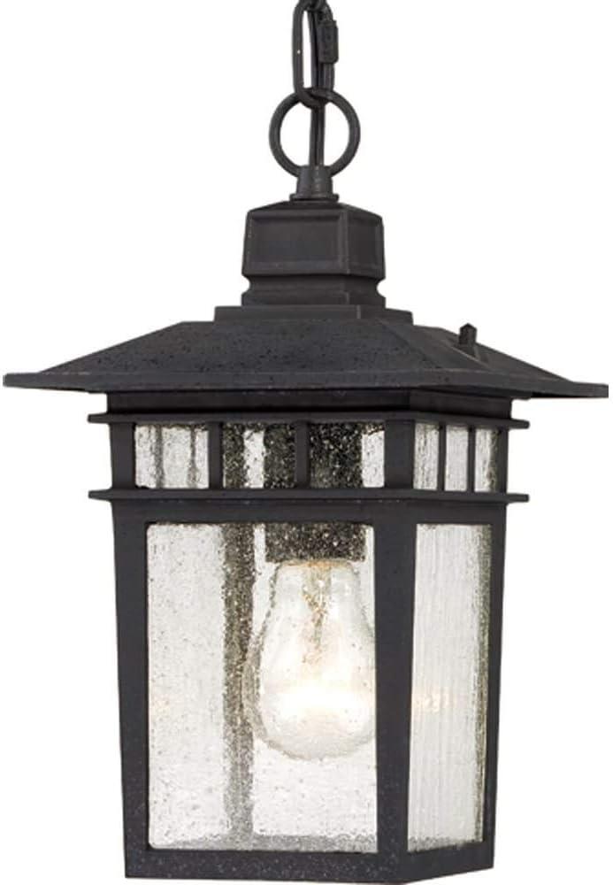 Nuvo 60-4956 - Cove Neck - 1 Light - 12" Outdoor Hang W/ Clear Seed Glass