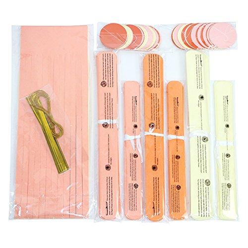 Orange Fall Party Hanging Decorations Thanksgiving Party Ceiling Hangings Wedding Decorations Tissue Paper Pom-Poms Tassel Garlands Baby Shower Birthday Party Decorations SF1