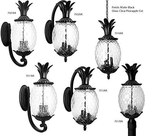 Lanai Matte Black Pineapple Glass Outdoor Hanging Lantern