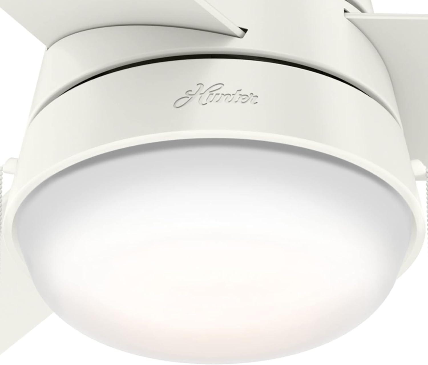 Aker 36" 3 - Blade Standard Ceiling Fan with Lights and Pull Chains