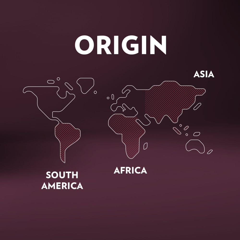 Lavazza Expert Intenso Coffee Capsules, Dark Roast, Arabica and Robusta Blend, Compatible with Lavazza Classy Plus Machine (36 Capsules)